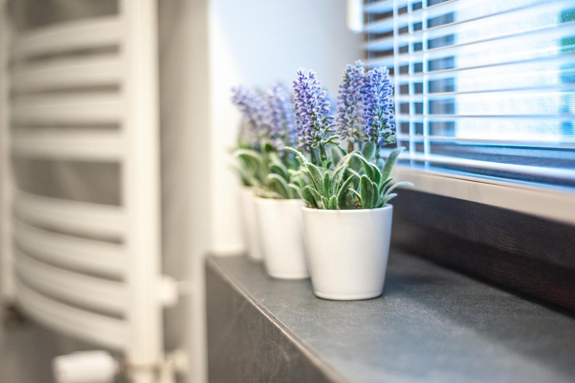Apartment Przestronne Premium Z Tarasem, Basenem I W Otoczeniu Przyrody Tuz Przy Morzu - 2homerent Rogowo (Gryfice)